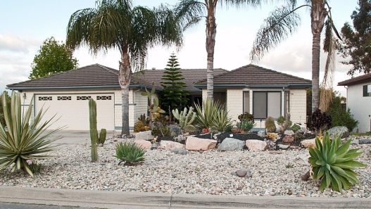 xeriscape giardino sostenibile